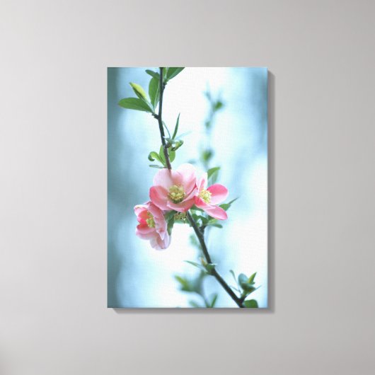 Appelbloesem #P0365 Canvas Afdruk (Voorkant)