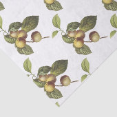 Appelbloesem Patroon Tissuepapier (Detail)