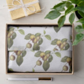 Appelbloesem Patroon Tissuepapier (Geschenk)
