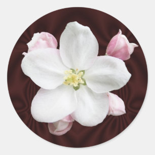 Appelbloesem ~ sticker