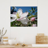 APPELBLOESEMS Bloemen Kunst Prints Gelijnd Kunst (Keuken)