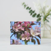 Appelbloesems Briefkaart (Staand voorkant)