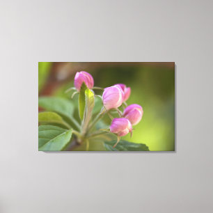 appelbloesems canvas afdruk