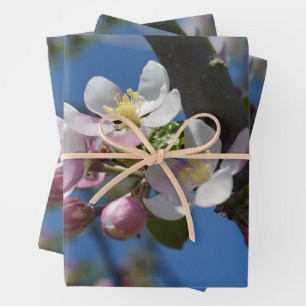 Appelbloesems - Een bloeiende tak van appelboom Inpakpapier Vel