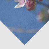 Appelbloesems - Een bloeiende tak van appelboom Tissuepapier (Detail)