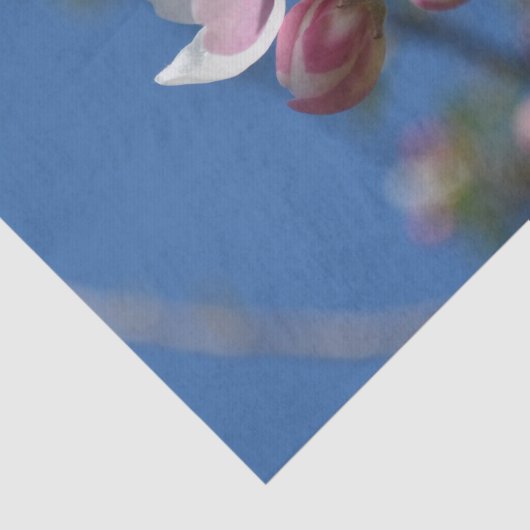 Appelbloesems - Een bloeiende tak van appelboom Tissuepapier (Detail)