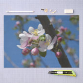 Appelbloesems - Een bloeiende tak van appelboom Tissuepapier (Craft)