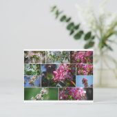 Appelbloesems en honingbijen briefkaart (Staand voorkant)