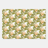 Appelbloesems en rozenbottels, gemengd inpakpapier vel (Voorkant 3)