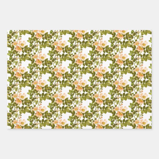 Appelbloesems en rozenbottels gesorteerd inpakpapier vel (Voorkant 3)