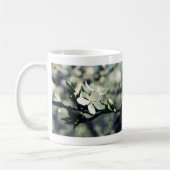 Appelbloesems lente mok (Links)