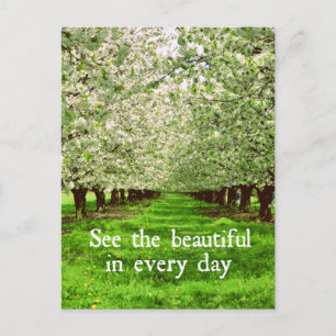 Appelbomen bloeien met Inspirerend citaat Briefkaart
