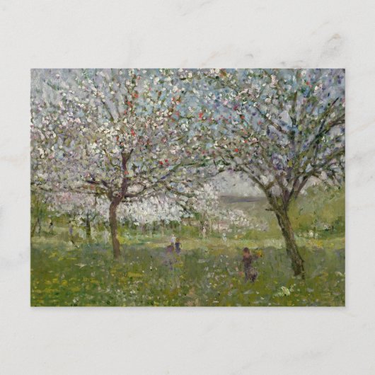 Appelbomen in de Bloem Briefkaart (Voorkant)