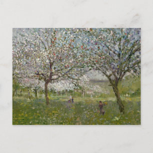 Appelbomen in de Bloem Briefkaart