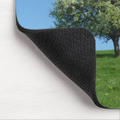 appelbomen muismat (Hoek)