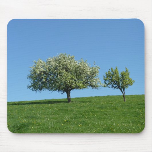 appelbomen muismat (Voorkant)