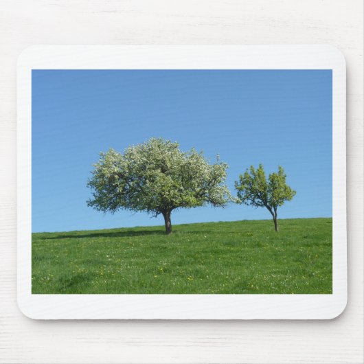 appelbomen muismat (Voorkant)