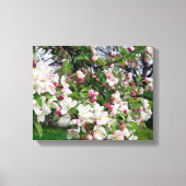 Appelboom bloeit. canvas afdruk (Voorkant)