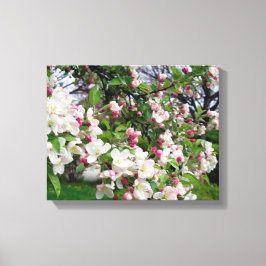 Appelboom bloeit. canvas afdruk