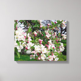 Appelboom bloeit. canvas afdruk