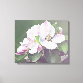 Appelboom Bloesem Lente Canvas Muurkunst Afdruk