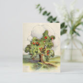  appelboom briefkaart (Staand voorkant)