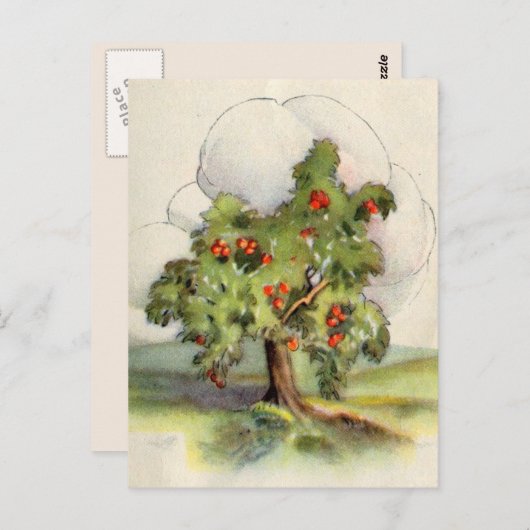  appelboom briefkaart (Voorkant / Achterkant)