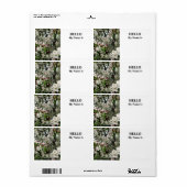 Appelboom in bloei etiket (Full Sheet)