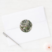 Appelboom in bloei ronde sticker (Envelop)