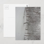 Appelboom in de winter briefkaart (Voorkant / Achterkant)