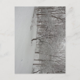 Appelboom in de winter briefkaart