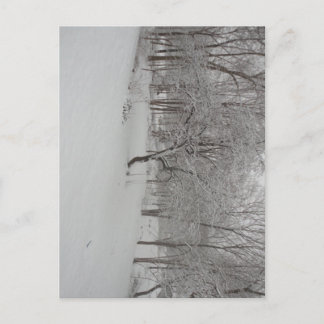 Appelboom in de winter briefkaart