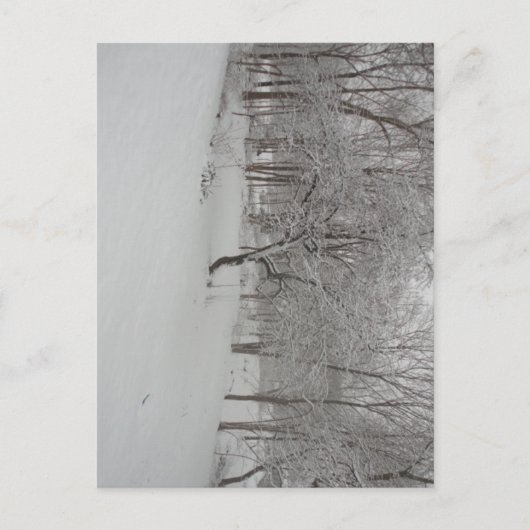 Appelboom in de winter briefkaart (Voorkant)