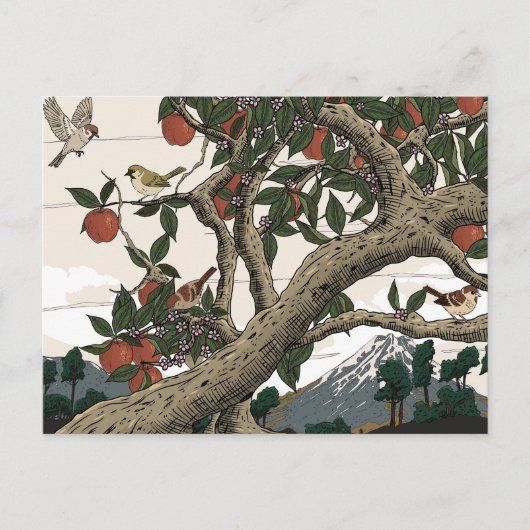 Appelboom Landschap Briefkaart (Voorkant)