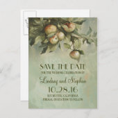 Appelboom rustiek opslaan van de datum briefkaarte aankondigingskaart (Voorkant / Achterkant)