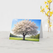 Appelboom verjaardag in de lente kaart (Gele Bloem)