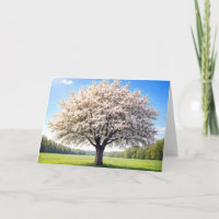 Appelboom verjaardag in de lente