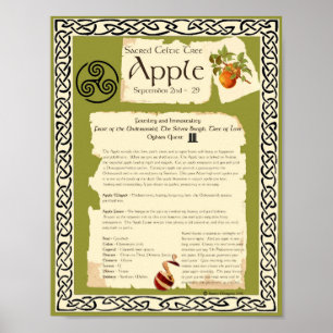 APPELCELTISCHE ZACRED TREE POSTER