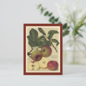 Appelen Botanische Vintage Briefkaart (Staand voorkant)