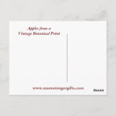 Appelen Botanische Vintage Briefkaart (Achterkant)