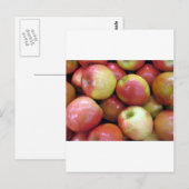 Appelen Briefkaart (Voorkant / Achterkant)