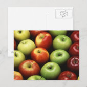 Appelen Briefkaart (Voorkant / Achterkant)