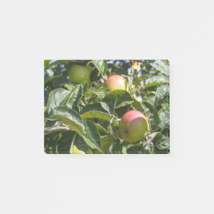 Appelen die rijpen op een appelboom post-it® notes