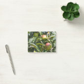 Appelen die rijpen op een appelboom post-it® notes (Kantoor)