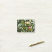 Appelen die rijpen op een appelboom post-it® notes (Op bureau)