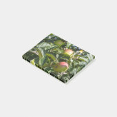 Appelen die rijpen op een appelboom post-it® notes (Schuin)