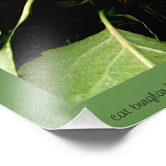 Appelen in de Herfst Foto Afdruk (Hoek)