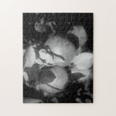 Appelen in zwarte en witte Natuur Legpuzzel (Verticaal)