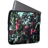 Appelen Laptop Sleeve (Voorkant Rechts)