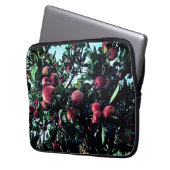 Appelen Laptop Sleeve (Voorkant Links)